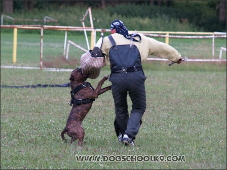 Training camp - Lukova 2007